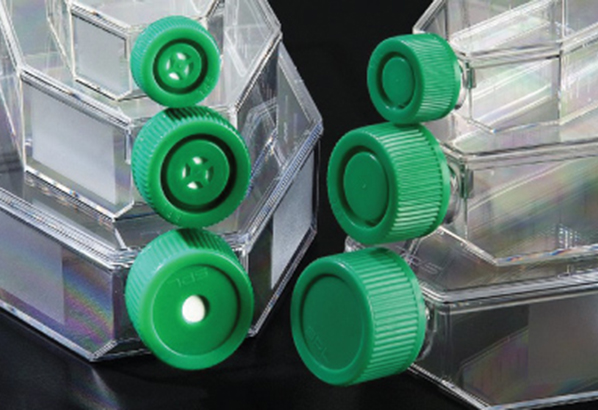 SPL® Cell Culture Flask with Filter Cap 細胞培養瓶,PS, 25cm2, TC treated